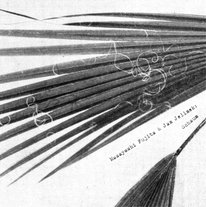 MASAYOSHI FUJITA & JAN JELINEK / SCHAUM
