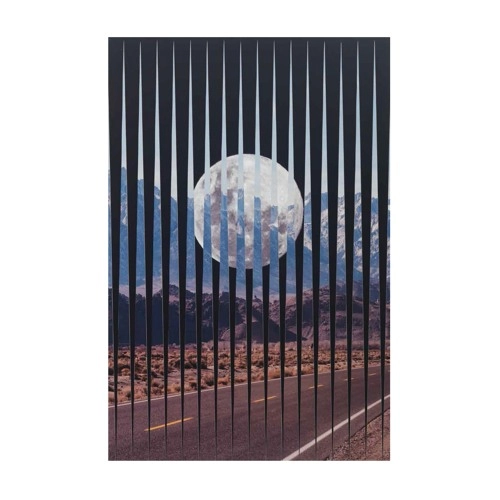 T & P / SHOOT THE FREAK