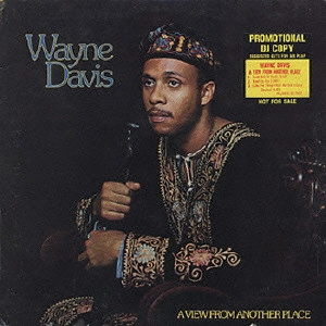 DEWAYNE DAVIS / ウェイン・デイヴィス / ア・ヴュー・フロム・アナザー・プレイス  / A VIEW FROM ANOTHER PLACE