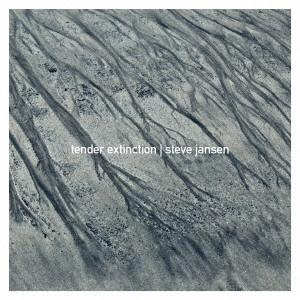 STEVE JANSEN / スティーヴ・ジャンセン / TENDER EXTINCTION