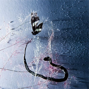 RAKTA / III (LP)