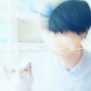 TOSHIAKI YAMADA / 山田稔明 / pale/みずいろの時代