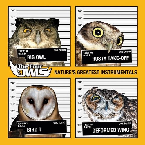 FOUR OWLS / NATURE'S GREATEST INSTRUMENTALS LP