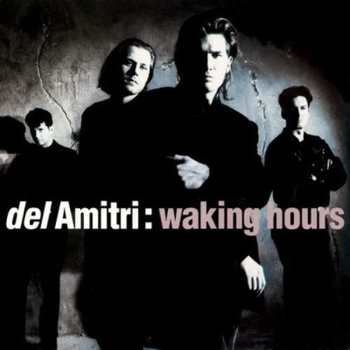 DEL AMITRI / WALKING HOURS