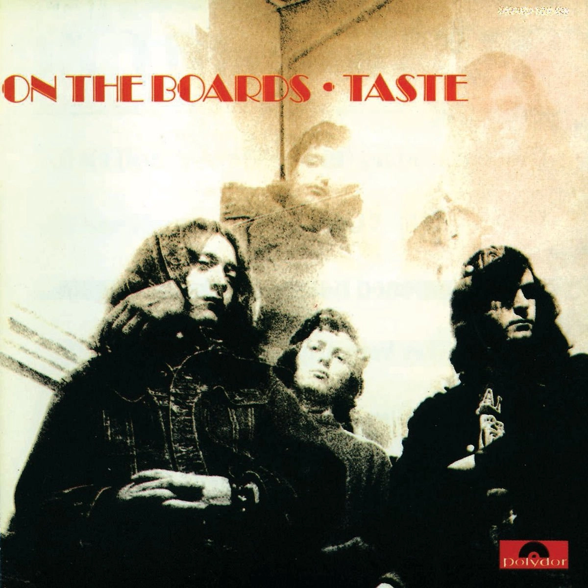 TASTE / テイスト / ON THE BOARDS - 2016 REISSUE （LP） / ON THE BOARDS - 2016 REISSUE (LP)