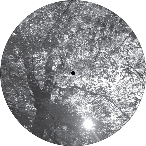 RESOE/ZOLTAN SOLOMON / BAUMLPE003