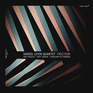 DANIEL LEVIN / ダニエル・レヴィン / FRICTION