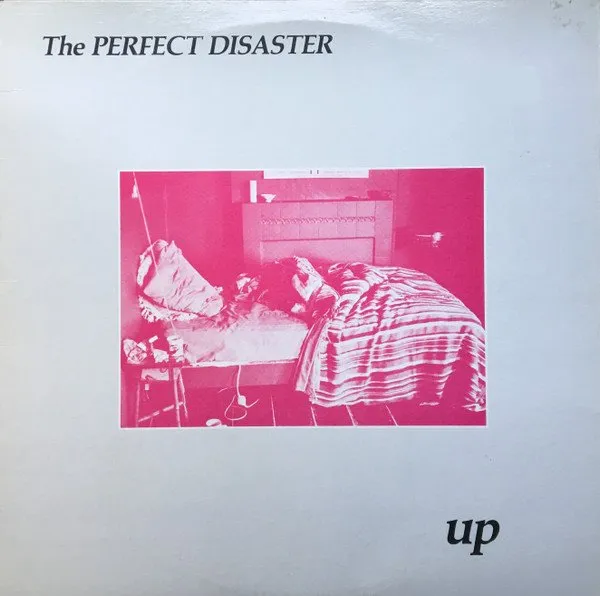 PERFECT DISASTER / UP