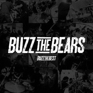 BUZZ THE BEARS / BUZZ THE BEST