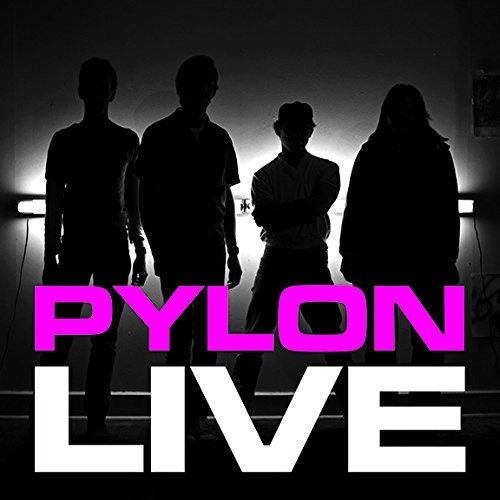 PYLON / パイロン / LIVE