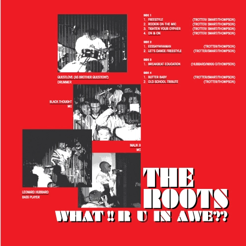 THE ROOTS (HIPHOP) / WHAT!! R U IN AWE??