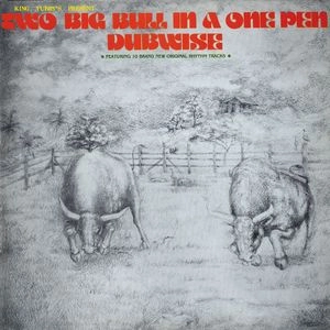 KING TUBBY / キング・タビー / TWO BIG BULL IN A ONE PEN DUBWISE