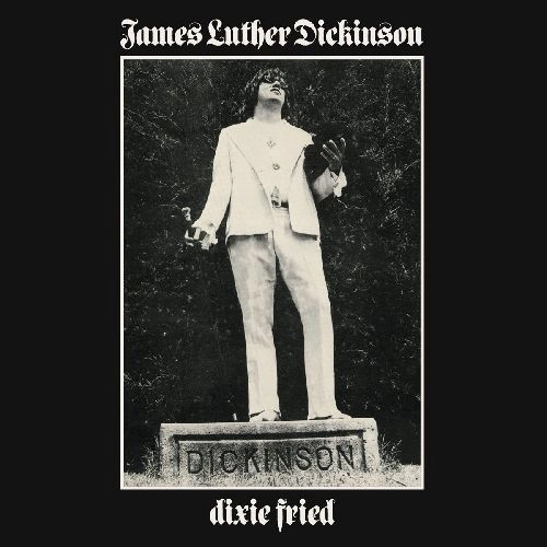 JAMES LUTHER DICKINSON / ジェイムス・ルーサー・ディッキンソン / DIXIE FRIED (180GRAM VINYL)