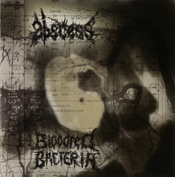 ABSCESS:BLOODRED BACTERIA / SPLIT