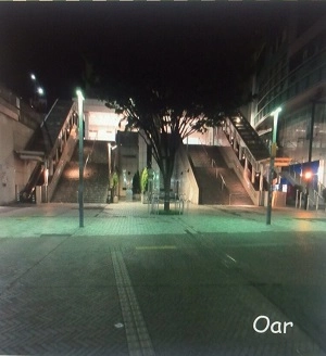 Oar(JP) / everything goes flat