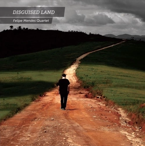 FELIPE MENDES / フェリペ・メンデス / DISGUISED LAND