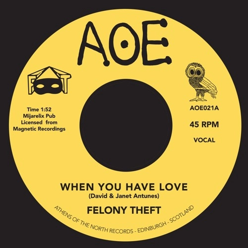 FELONY THEFT / WHEN YOU HAVE LOVE / RUN FOR COVER