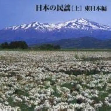 ニホンノミンヨウ / ヒガシニホンヘン