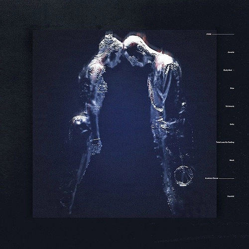 NAKED / ネイキッド / ZONE (LP)