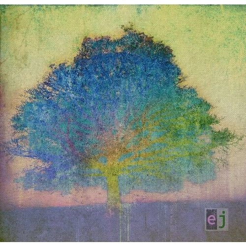 ERIC JOHNSON / エリック・ジョンソン / EJ