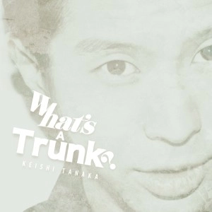 Keishi Tanaka / What’s A Trunk?