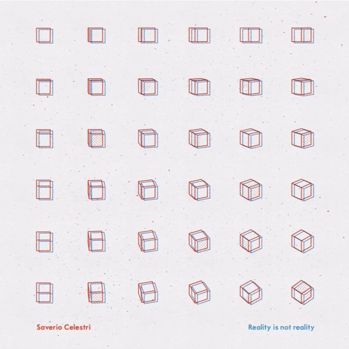 SAVERIO CELESTRI / REALITY IS NOT REALITY