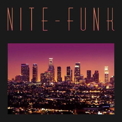 NITE-FUNK (DAM-FUNK & NITE JEWEL) / NITE-FUNK 12"