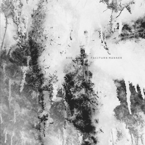 RVO / TACITURN MANNER LP