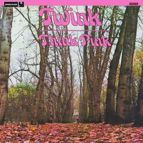 TWINK / トゥインク / THINK PINK (MONO EDITION LP)