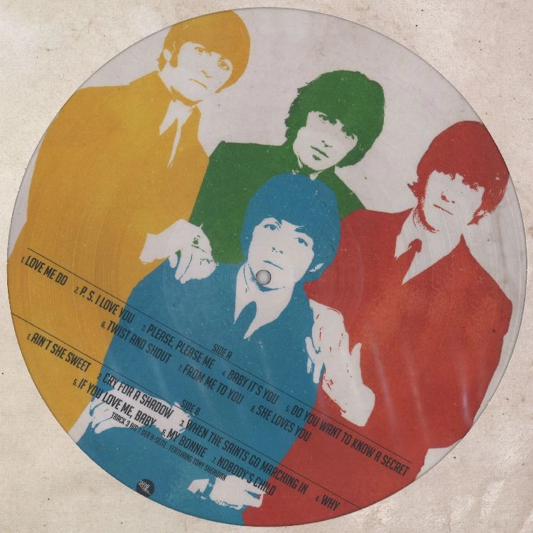 BEATLES / ビートルズ / BASICS (LTD PIC DISC)