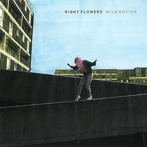 NIGHT FLOWERS / ナイト・フラワーズ / WILD NOTION (LP)
