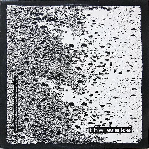 WAKE / ウェイク / PALE SPECTRE/PLASTIC FLOWERS (7")
