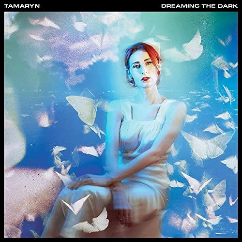 TAMARYN / タマリン / DREAMING THE DARK (LP/TRANSPARENT PALE BLUE VINYL)