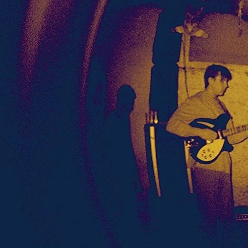 REAL NUMBERS / WORDLESS WONDER (LP)