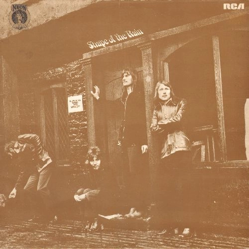 SHAPE OF THE RAIN / シェイプ・オブ・ザ・レイン / RILEY, RILEY. WOOD AND WAGGETT