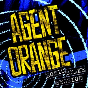 AGENT ORANGE / エージェントオレンジ / SONIC SNAKE SESSION (2CD)