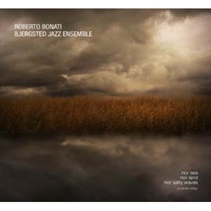 ROBERTO BONATI / ロベルト・ボナティ / NO SEA, NOR LAND, NOR SALTY WAVES - A NORDIC STORY