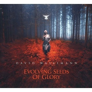 DAVID WALLIMANN / EVOLVING SEEDS OF GLORY