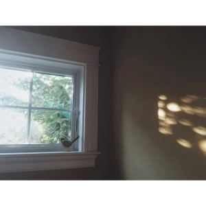 EX CONFUSION / LAST