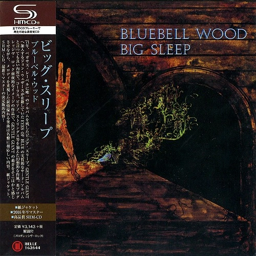 BIG SLEEP / ビッグ・スリープ / BLUEBELL WOOD / ブルーベル･ウッド（SHM-CD）