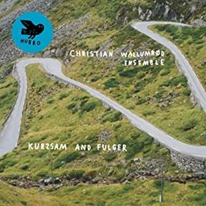 CHRISTIAN WALLUMROD / クリスチャン・ヴァルムルー / KURZAM AND FULGER
