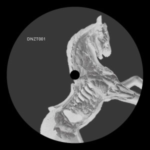 ADIEL / ANATOMIA DEL CAVALLO