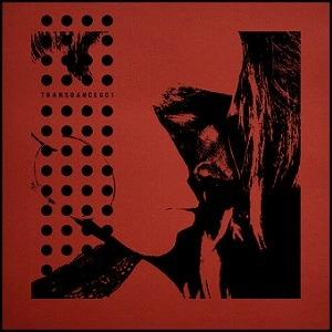 NIGHT MOVES (CULT NEW WAVE) / TRANSDANCE