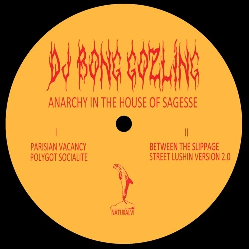 DJ BONG GOZLING / ANARCHY IN THE HOUSE SAGESSE