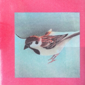 SHUT YOUR MOUTH / Phoenix