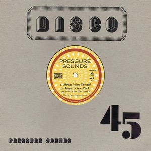 JAH WOBBLE & DIGGORY KENRICK / MOUNT VIEW SPECIAL