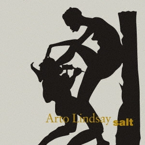 ARTO LINDSAY / アート・リンゼイ / ソルト・プラス2