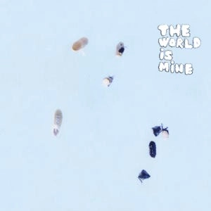 QURULI / くるり / THE WORLD IS MINE（アナログ）