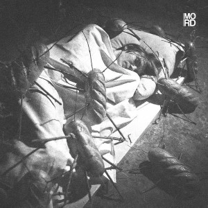 STANISLAV TOLKACHEV / WHEN YOU ARE NOT AT HOME