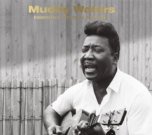 MUDDY WATERS / マディ・ウォーターズ / ESSENTIAL ORIGINAL ALBUMS